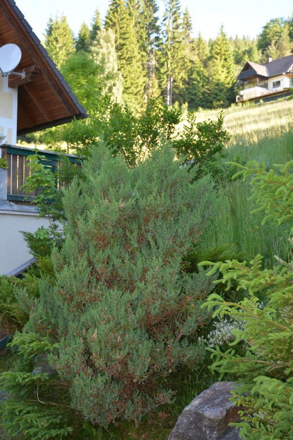 Ferienhaus Kristina/Hebalm Deutschlandsberg Buitenkant foto